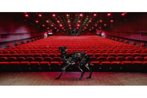 Teatr Capitol stawia na energooszczędne urządzenia marki Xeos