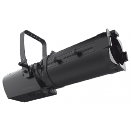 Lexpert Profile L