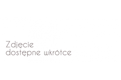 Silesian Opera House - new era of lighting