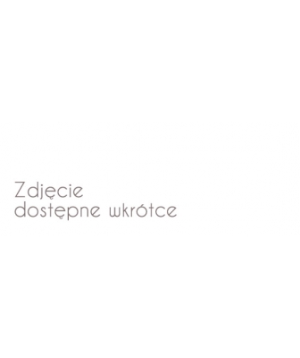 INSE 1200 MSR - i_inse-2000-1200msr.jpg