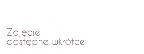 Transparent LED screen in Katowice. ING Bank Śląski case study